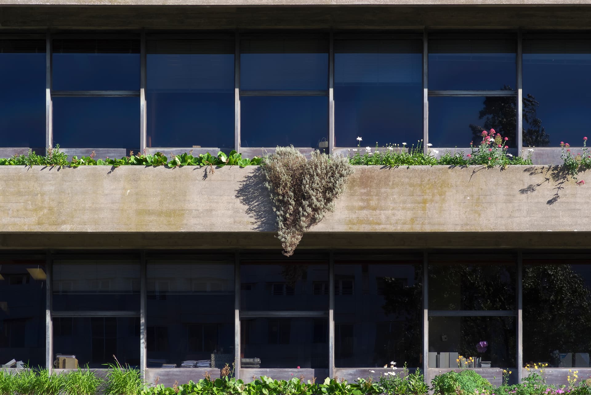 Gulbenkian: the garden and the two collections