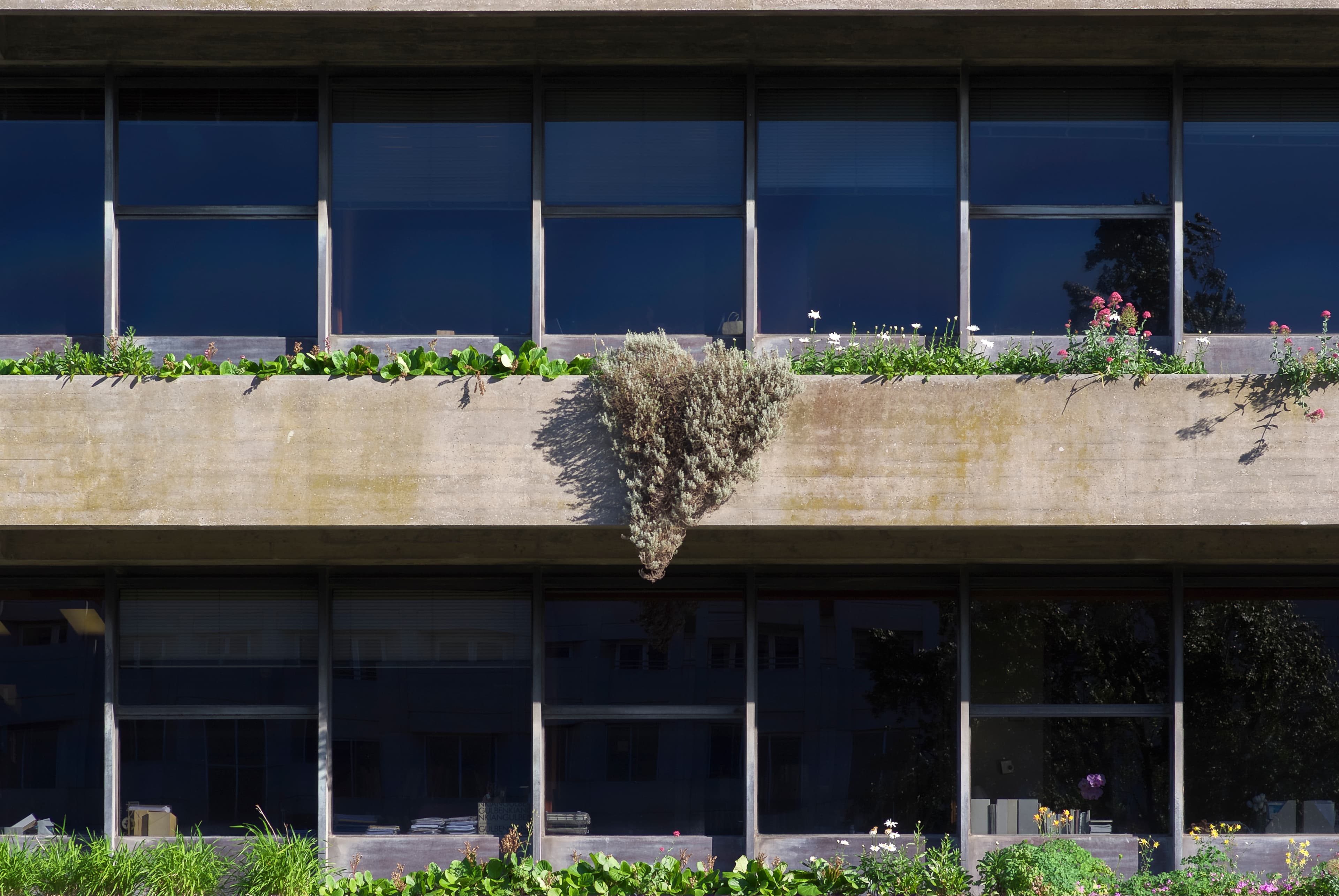 Gulbenkian: the garden and the two collections