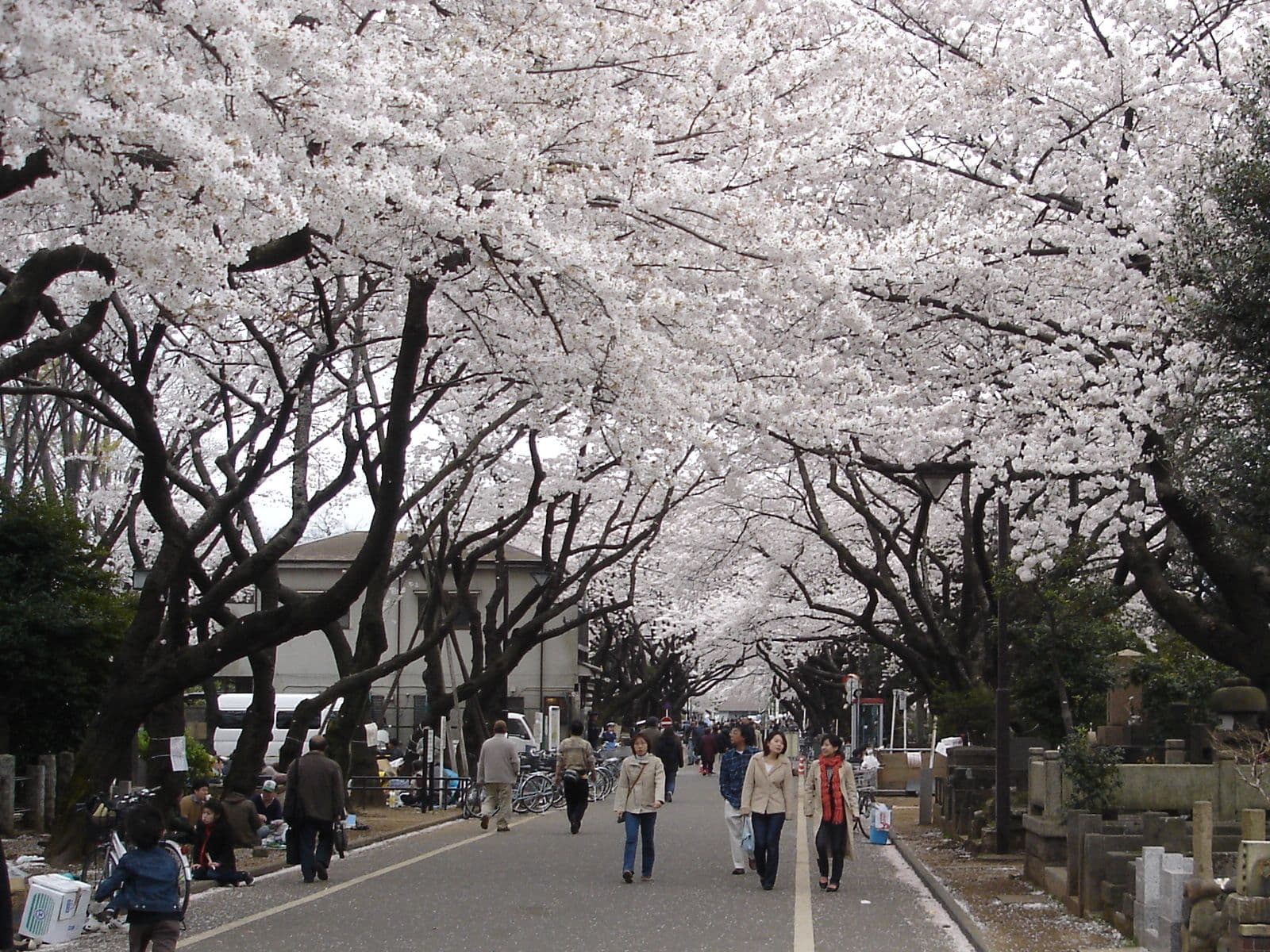 Yanaka: the Tokyo that survived