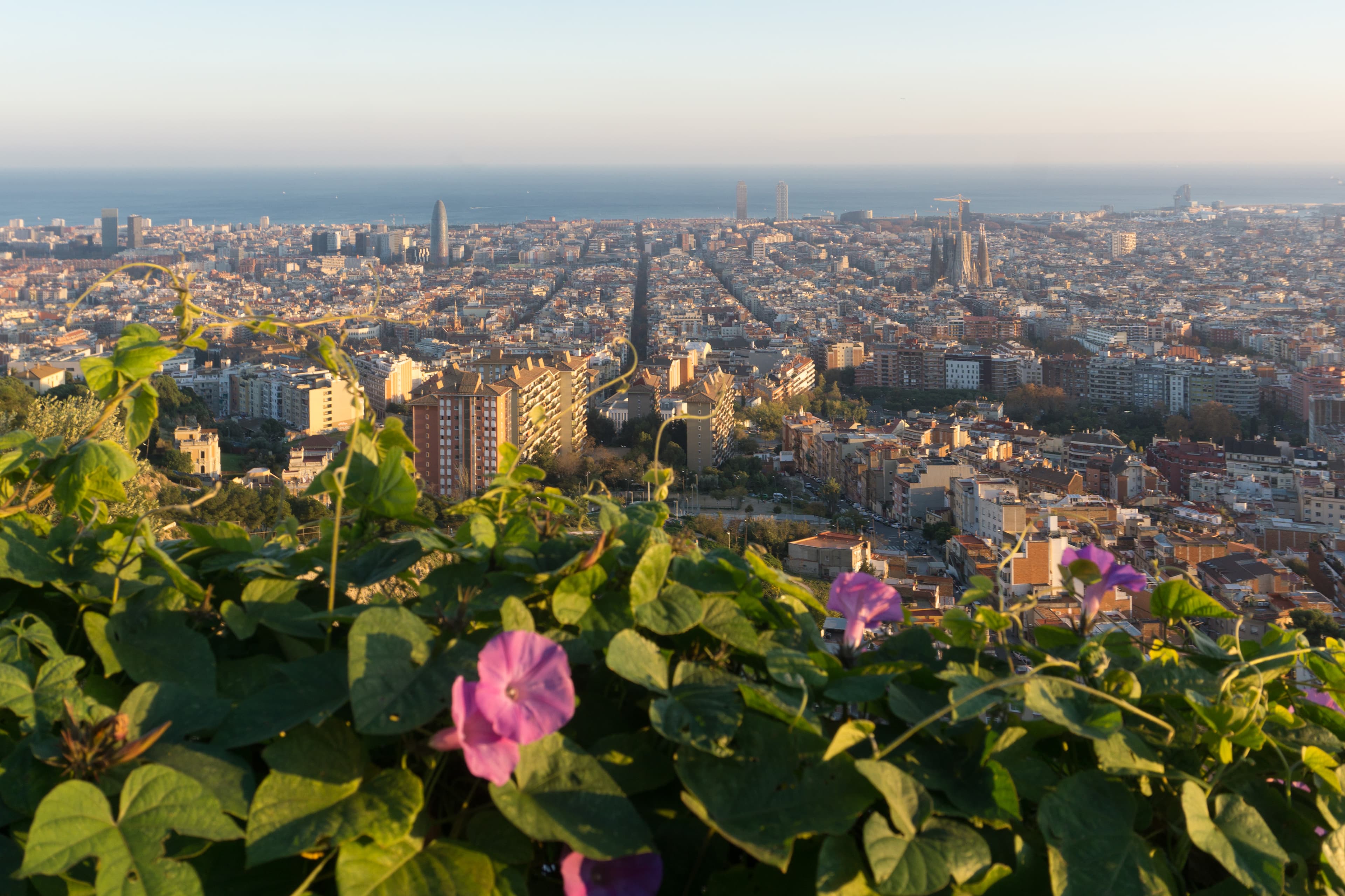 The Bunkers del Carmel: the best view in the city
