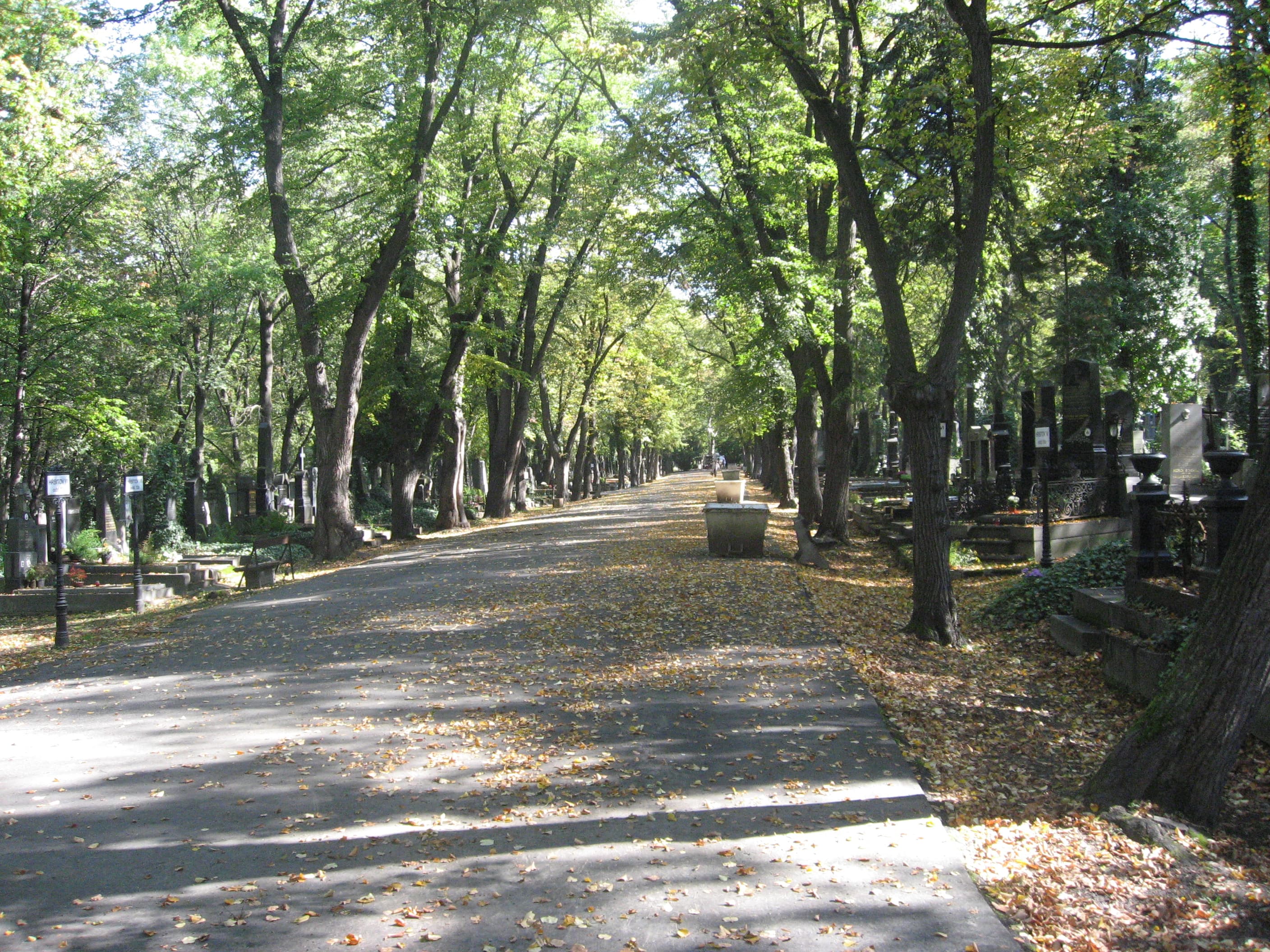 Olšany: the city of the dead and Kafka's grave