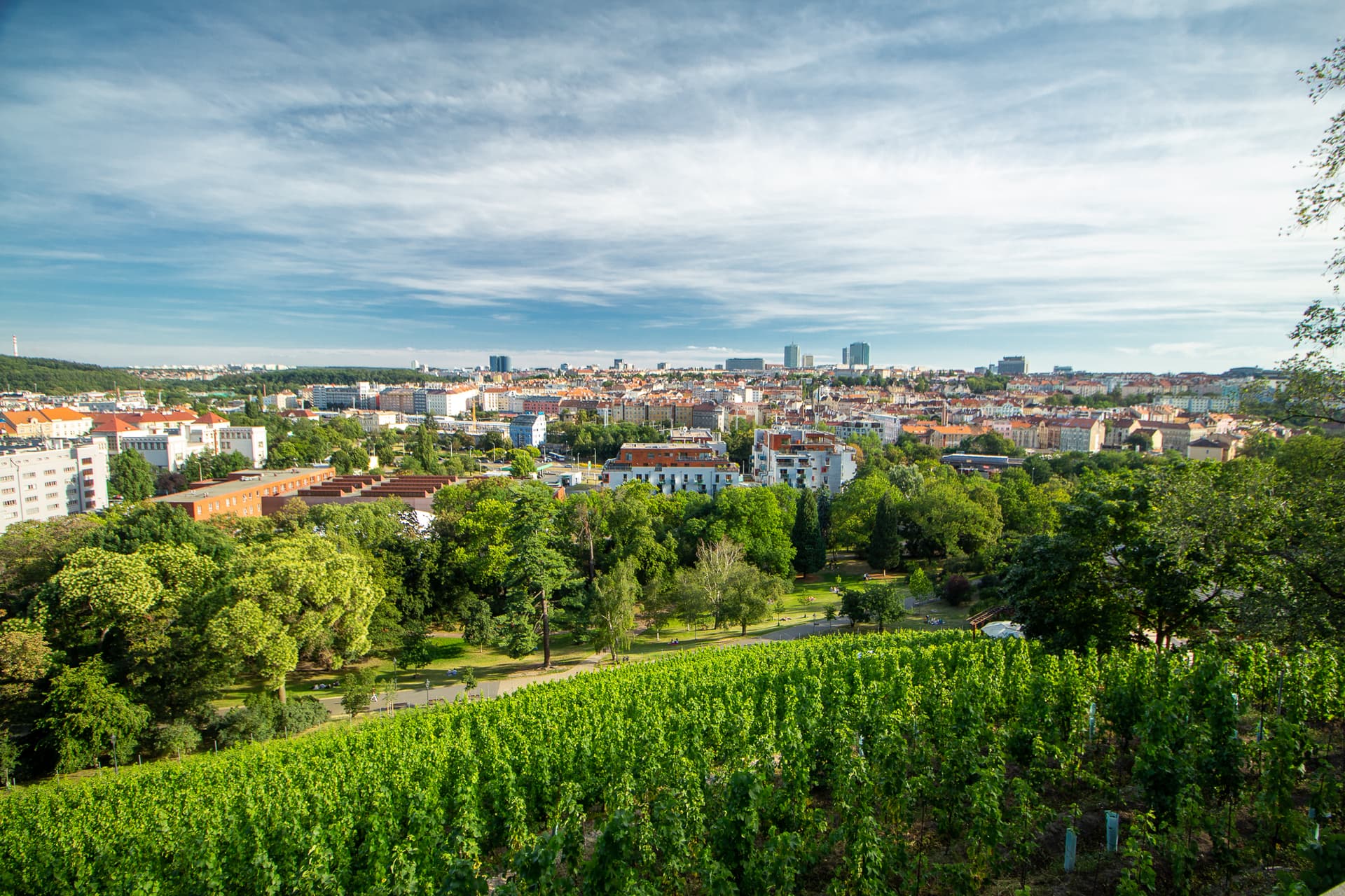 Vinohrady: Náměstí Míru to the Grébovka vineyard