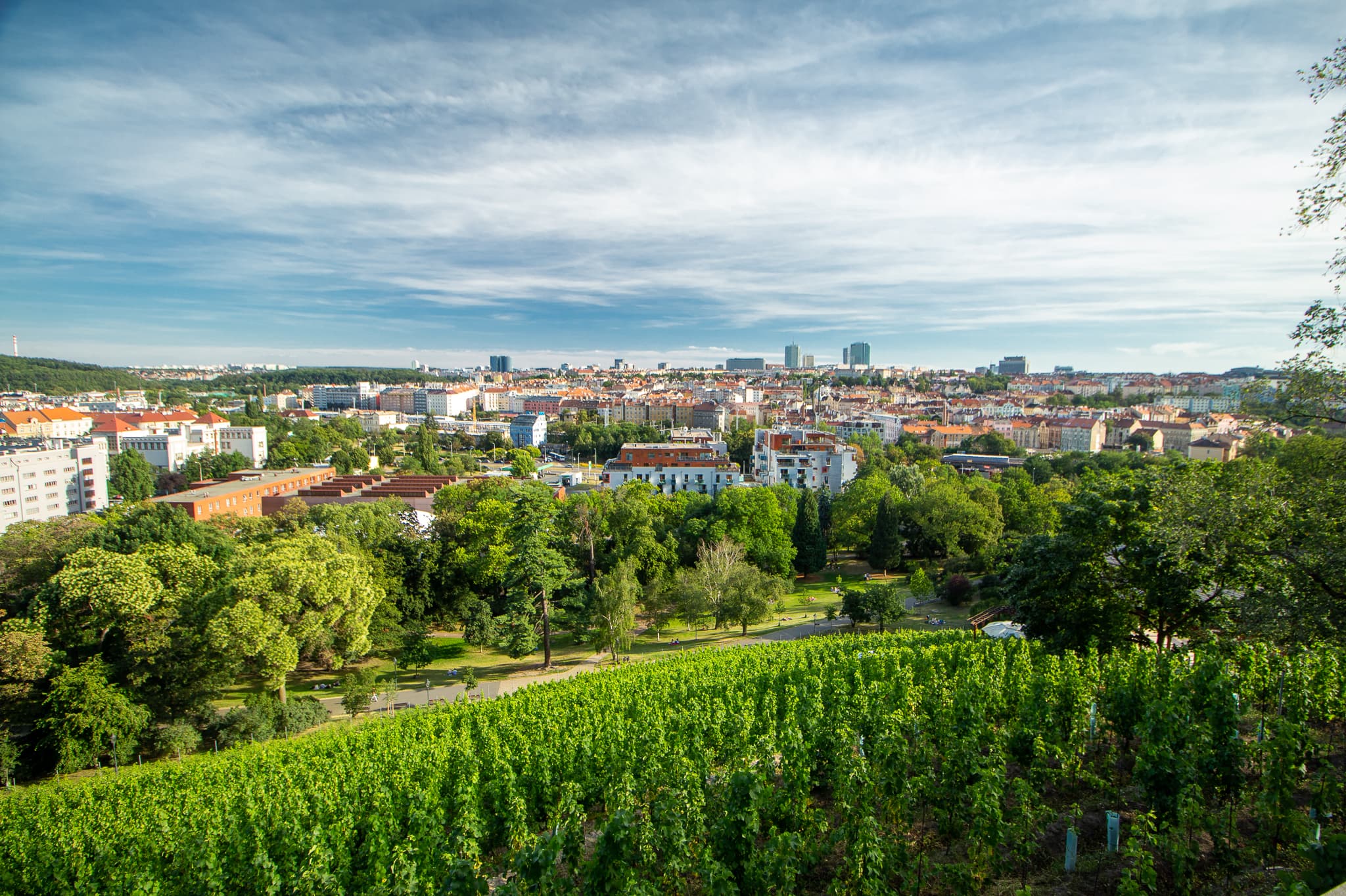 Vinohrady: Náměstí Míru to the Grébovka vineyard