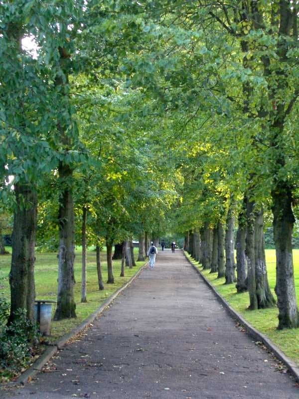 Alexandra Park