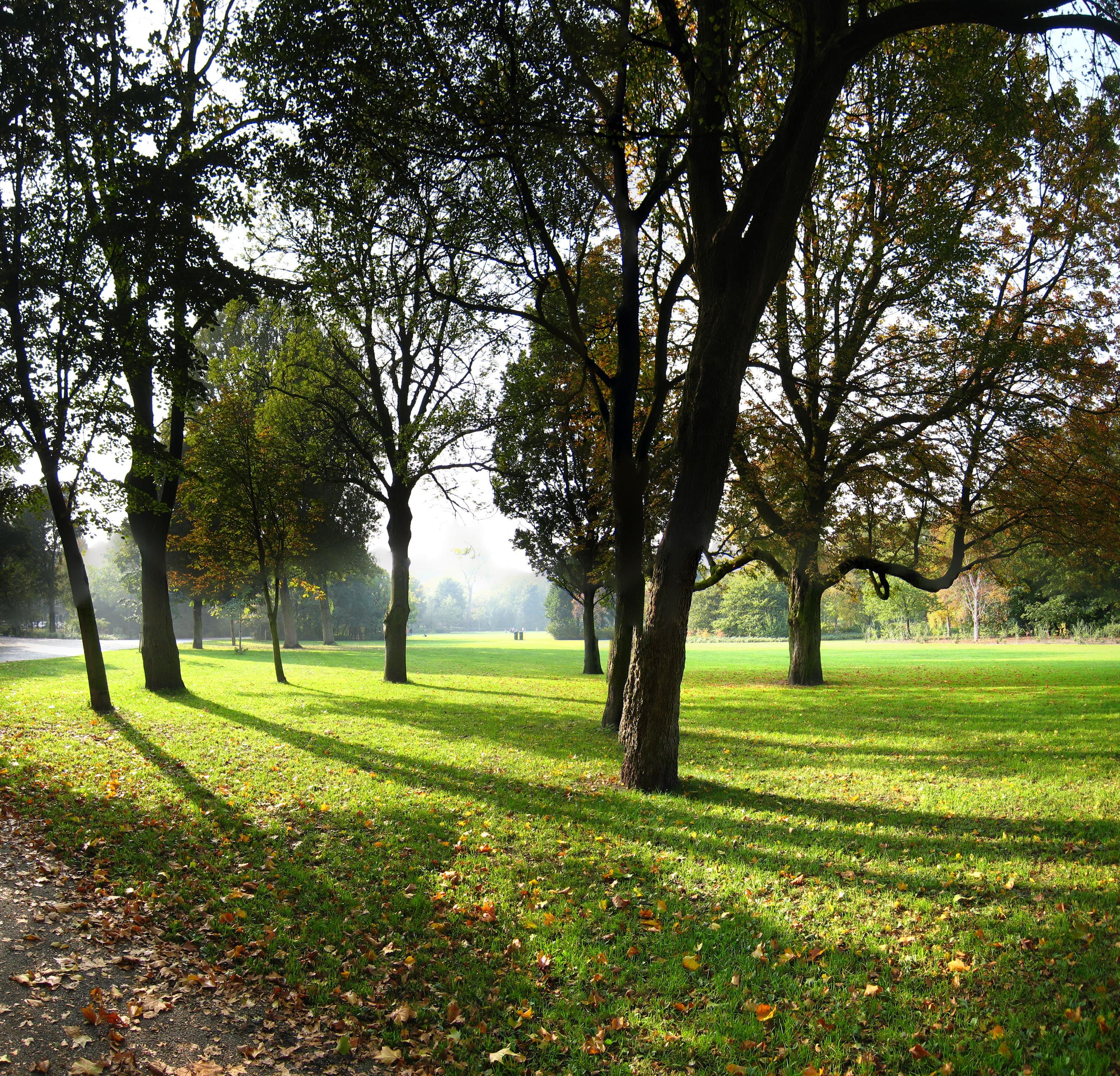 Oost: the park, the reckoning, and the market