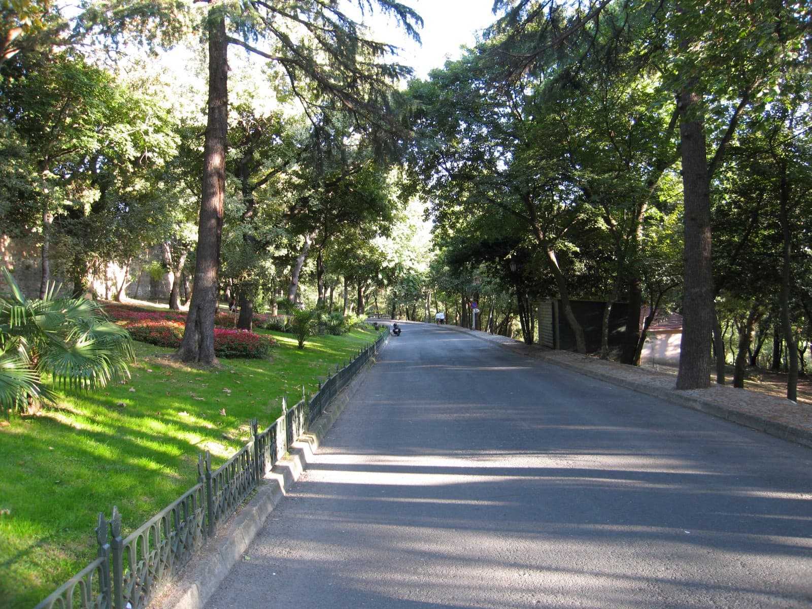 Beşiktaş Çarşı and Yıldız Park: the inland walk