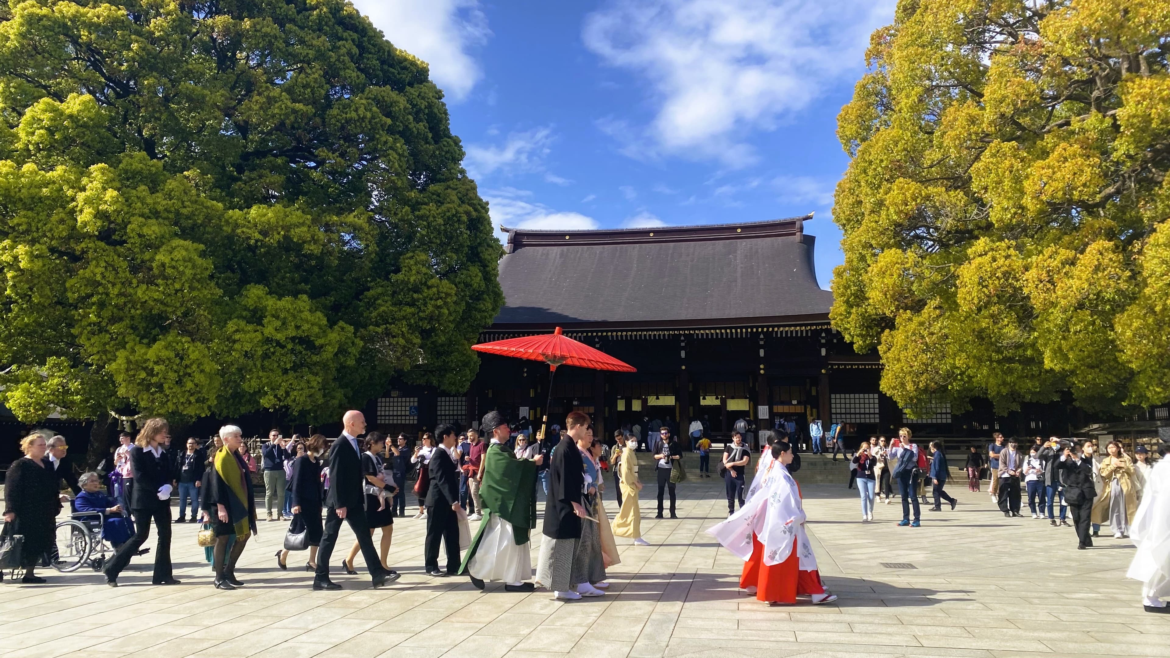 Meiji Jingu: the forest someone planted