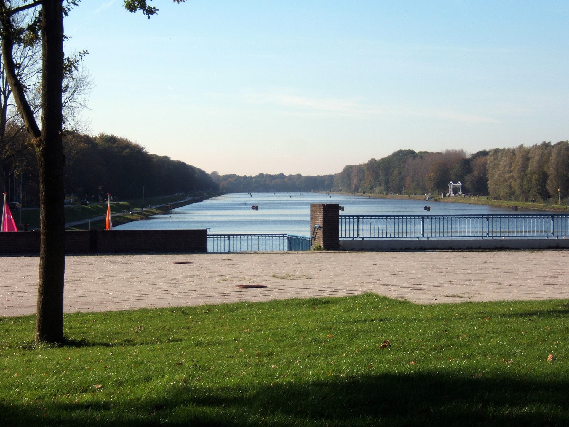 Amsterdamse Bos: the forest the unemployed built