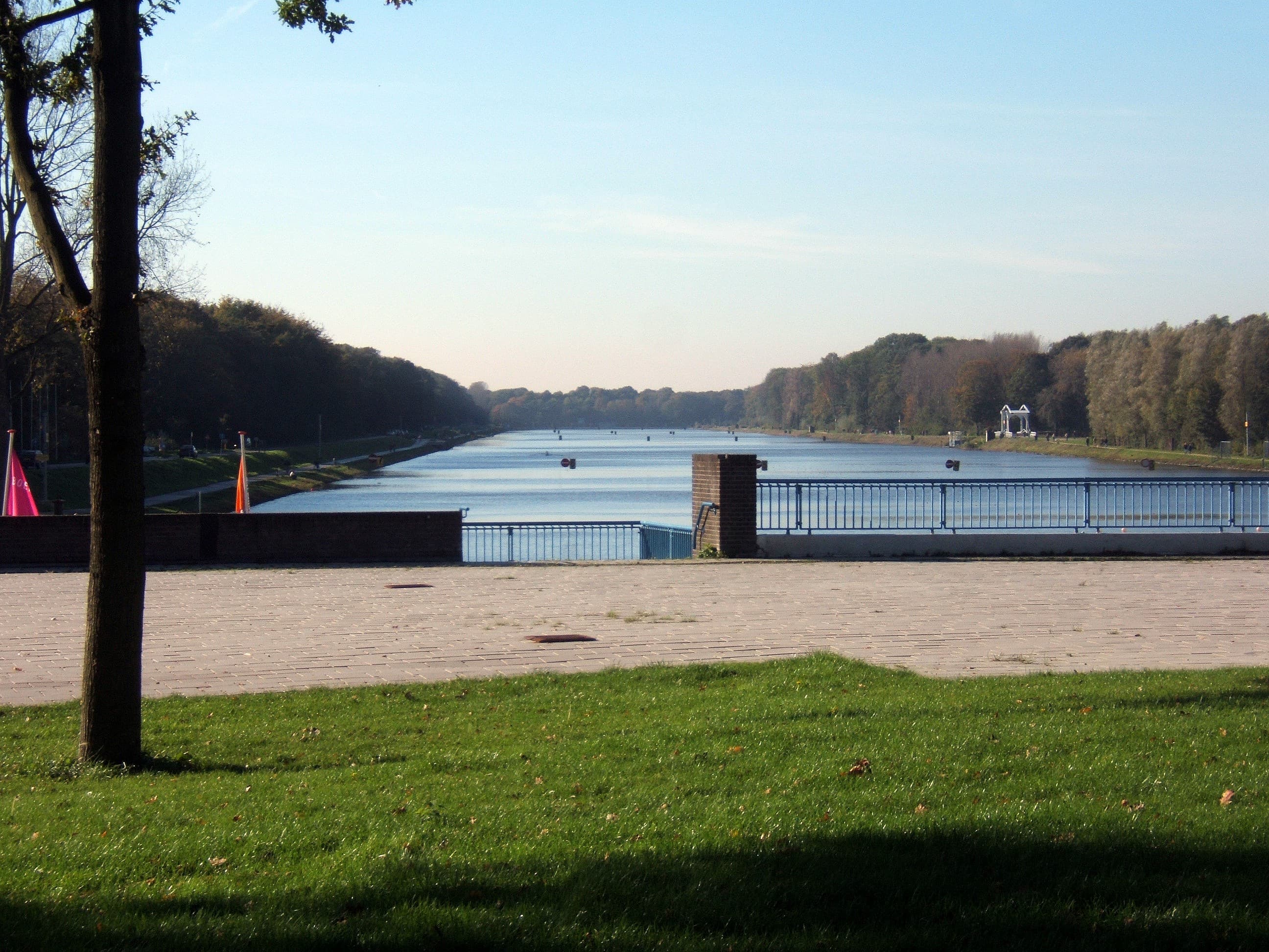 Amsterdamse Bos: the forest the unemployed built