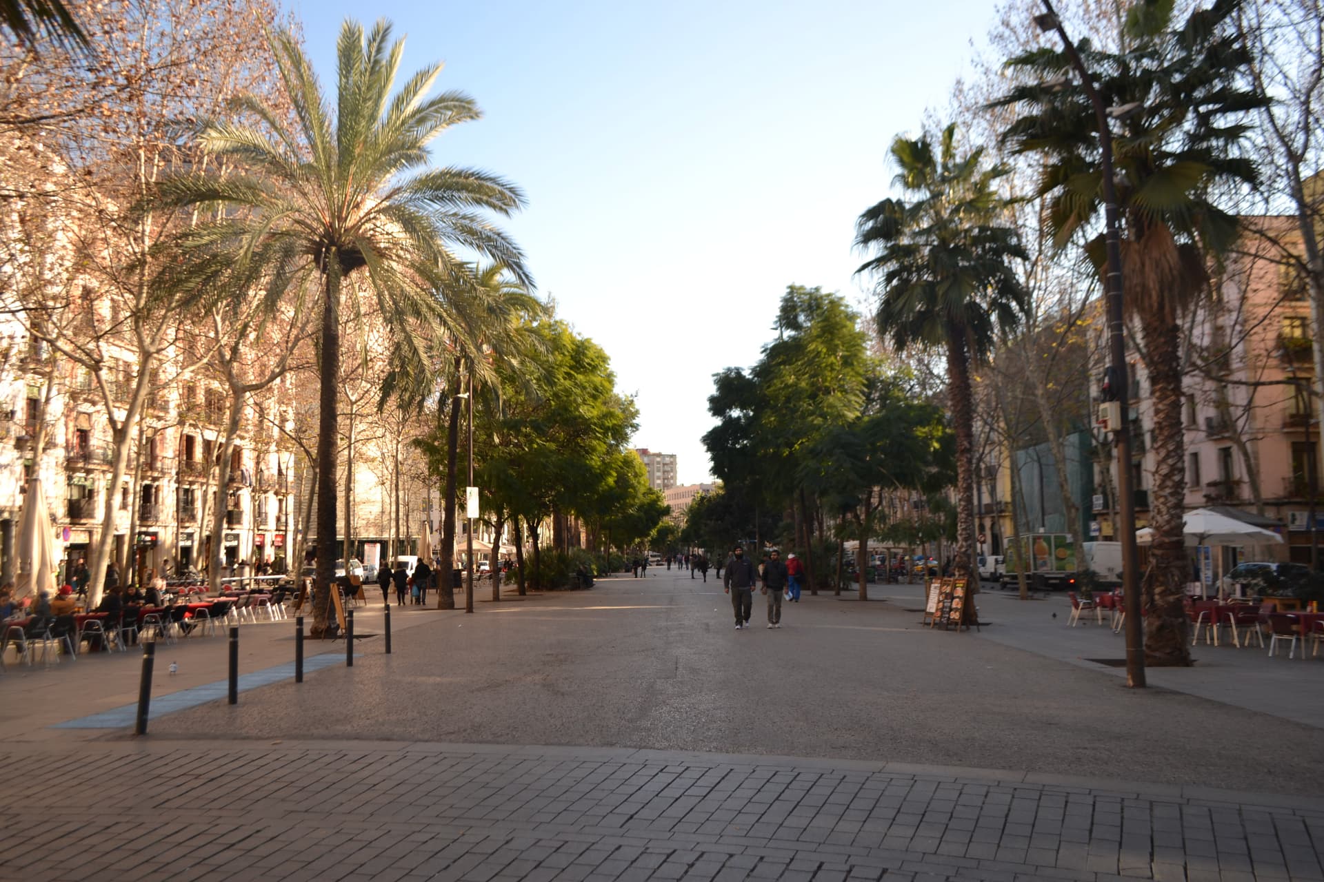 El Raval: the fat cat, the skaters, and the oldest church