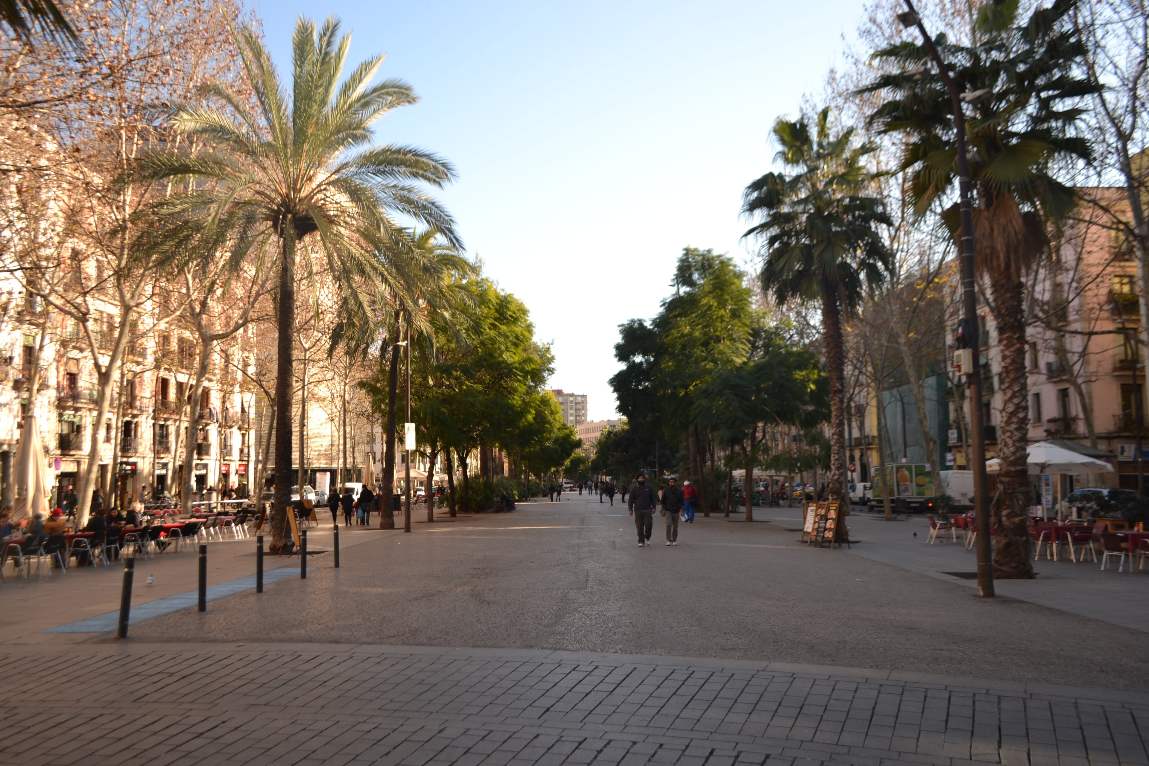 El Raval: the fat cat, the skaters, and the oldest church