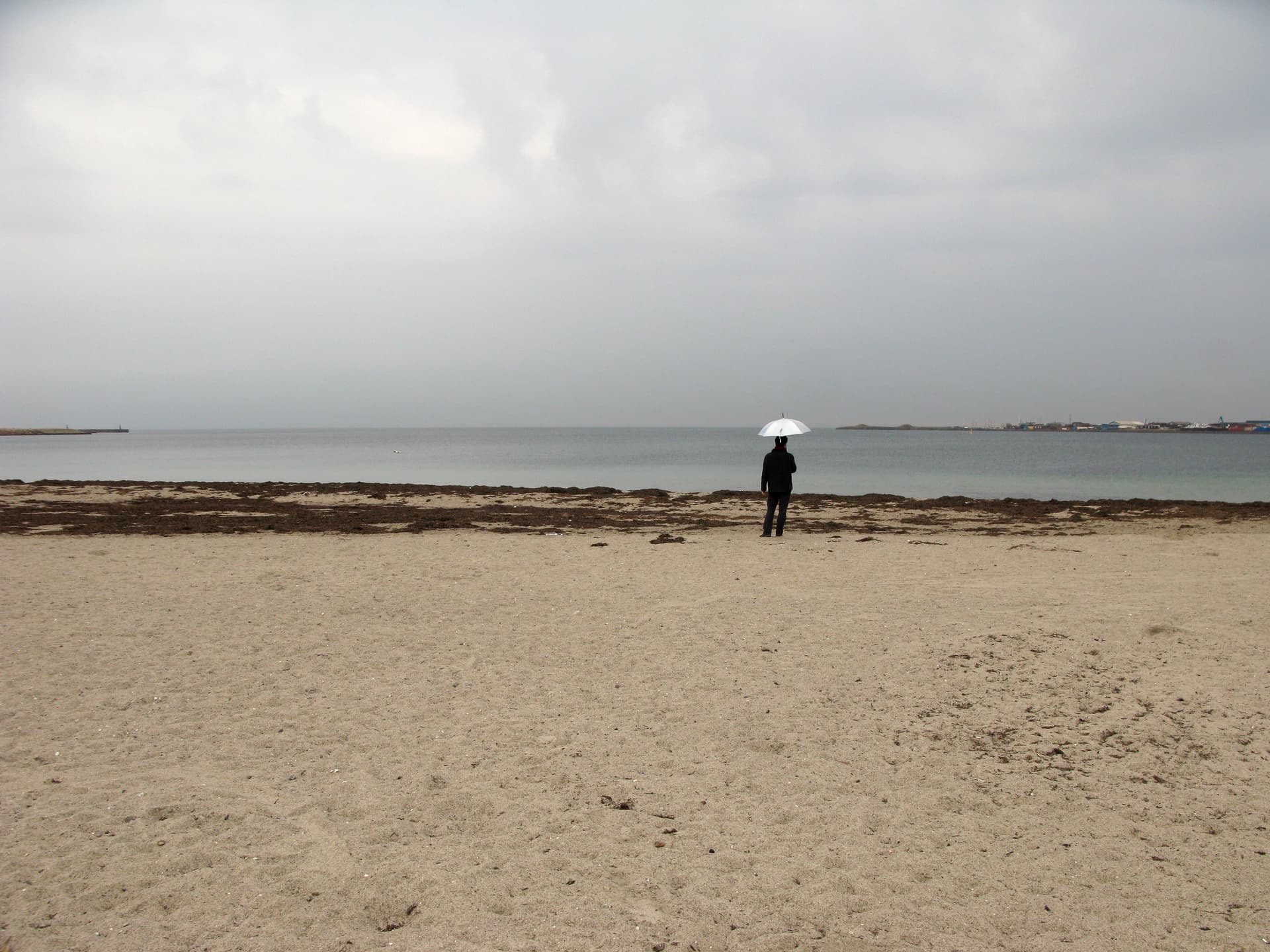 Trianglen to Svanemøllen: the eastern lakeshore