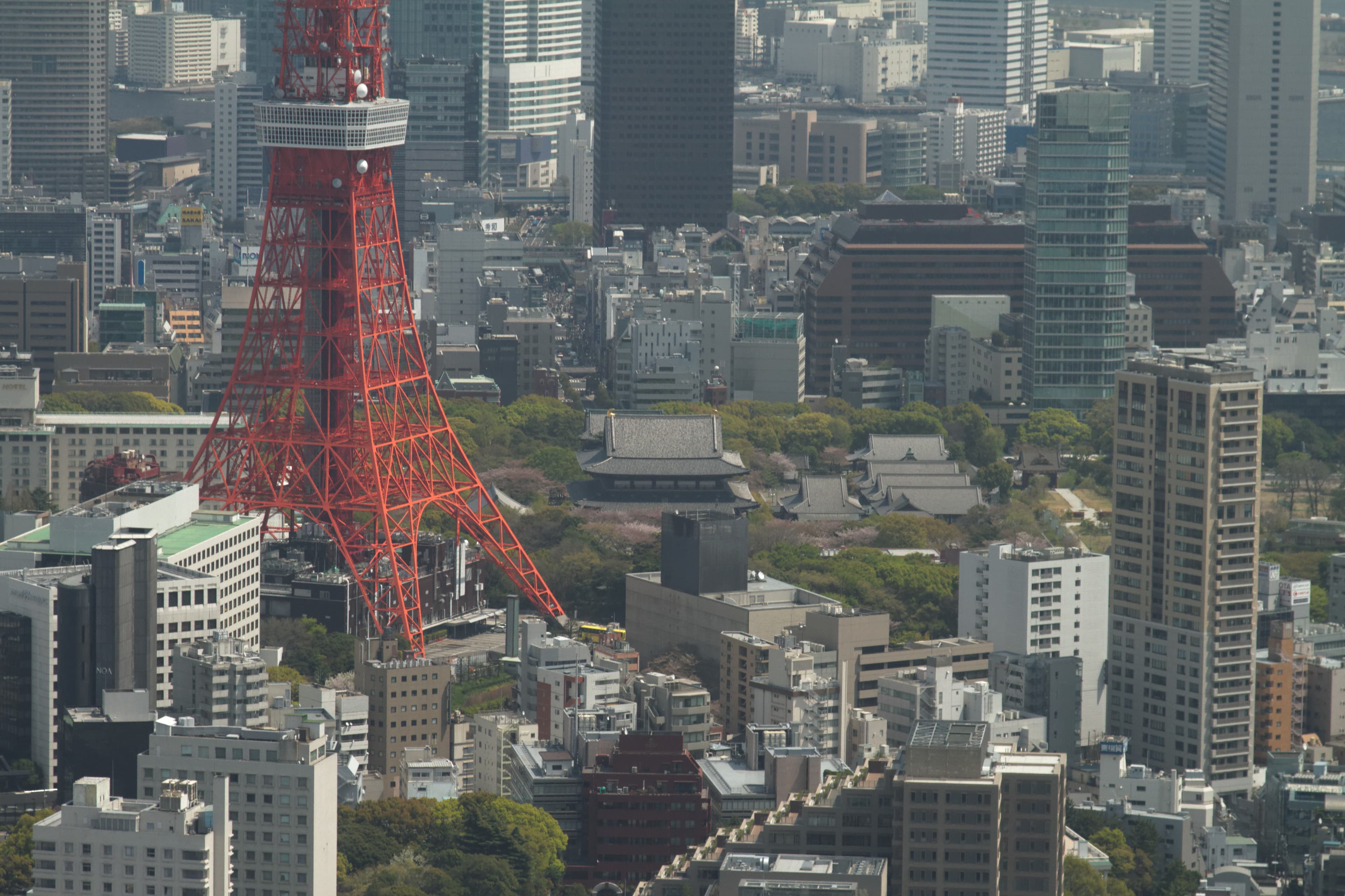 Azabu-Juban: the old shopping street and the red tower