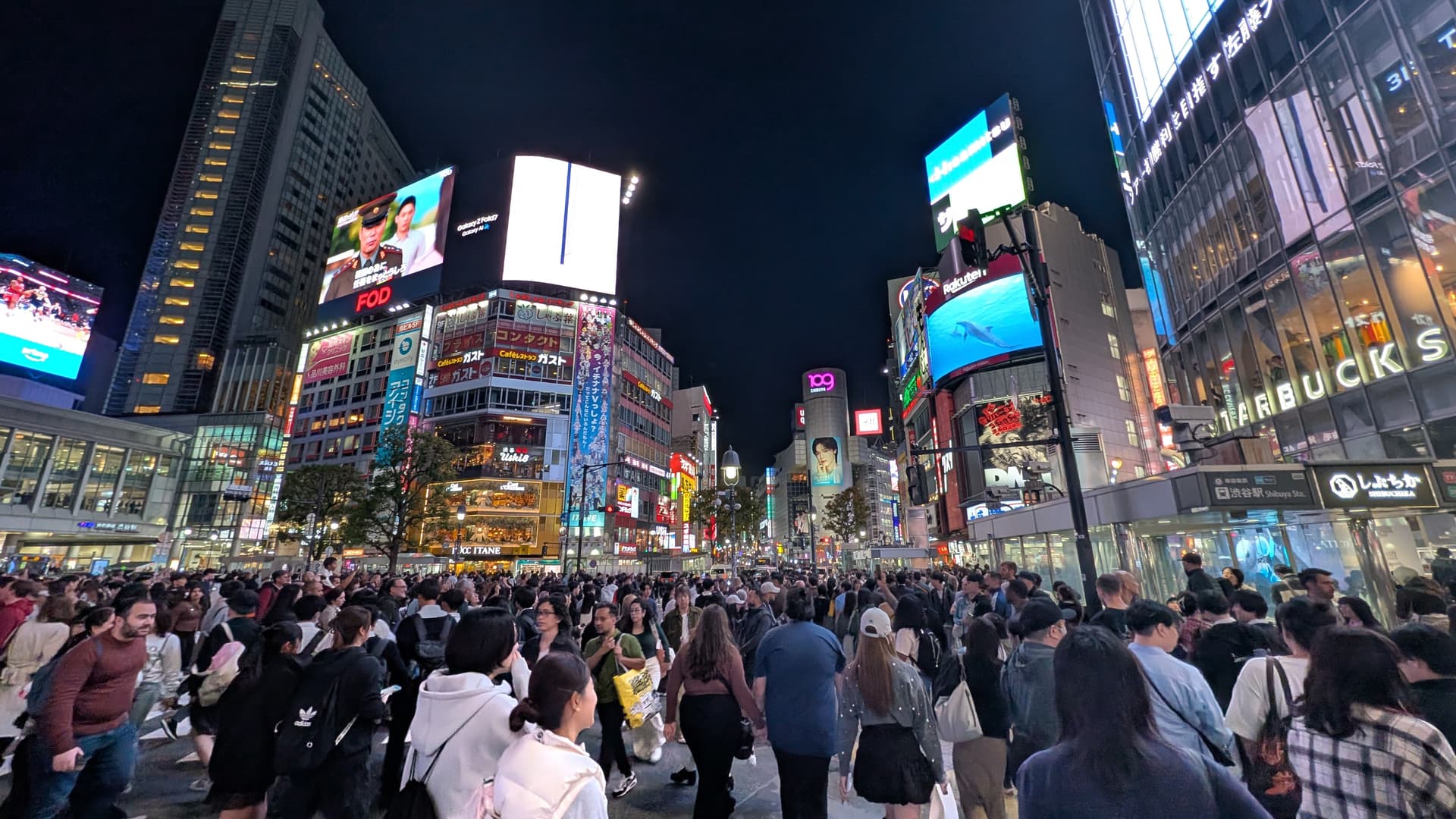 Shibuya: the crossing and the hills