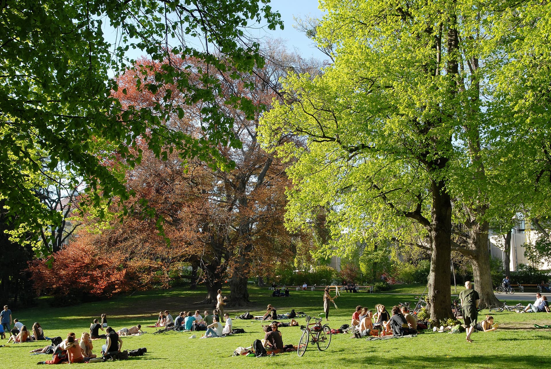 Türkenschanzpark and the Cottageviertel