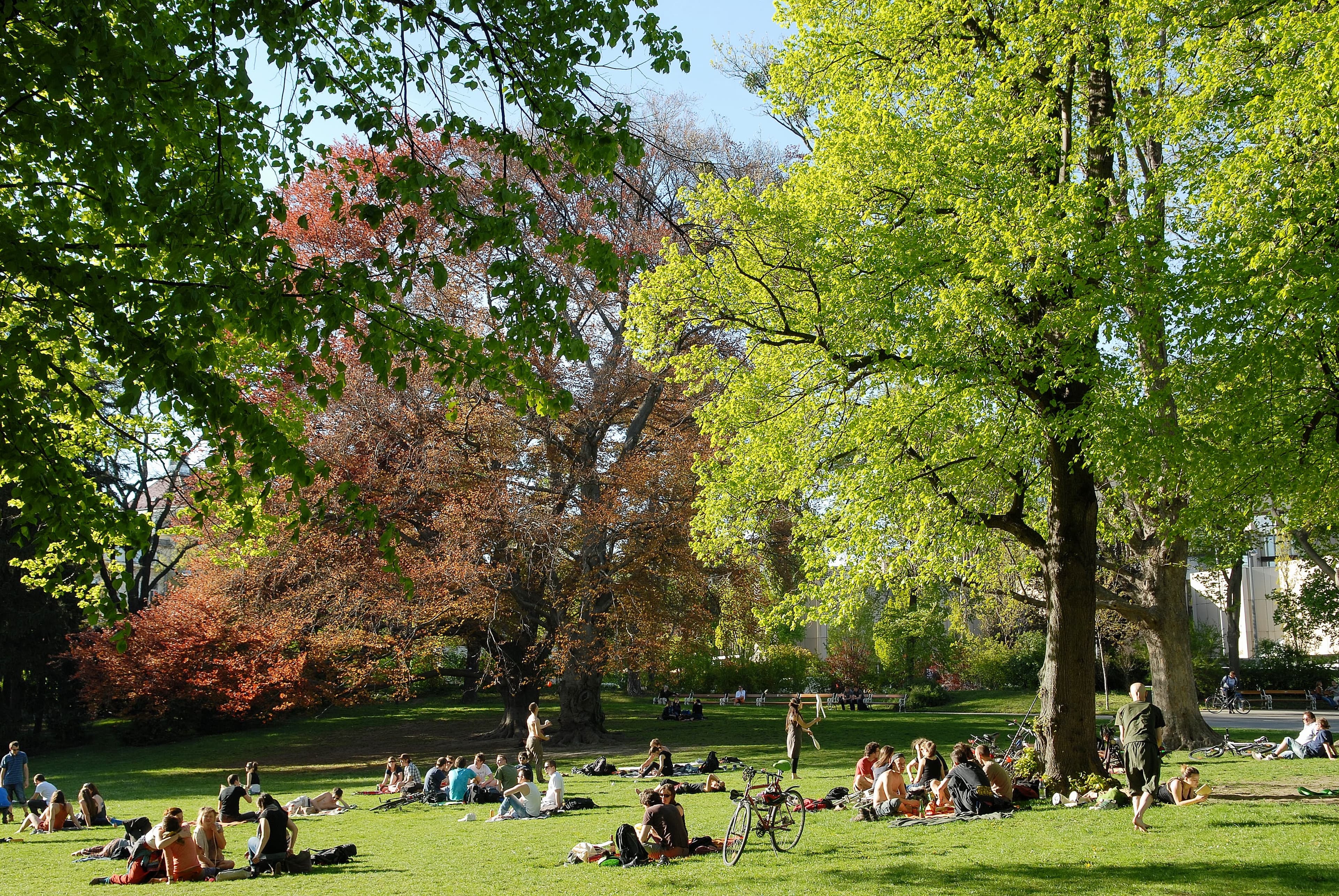 Türkenschanzpark and the Cottageviertel
