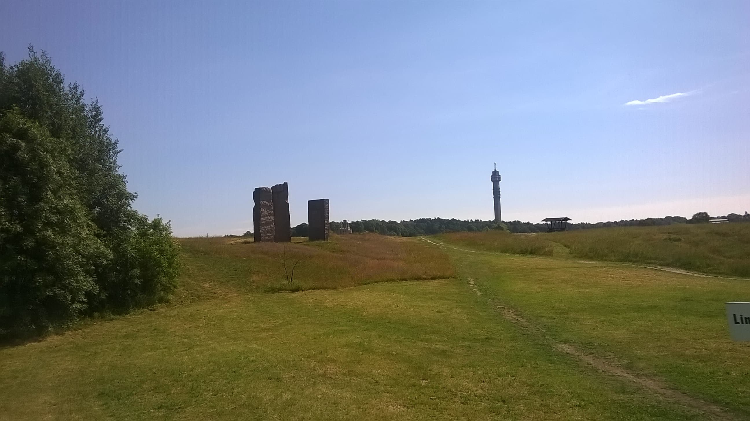 Ladugårdsgärdet: the open field and the tower