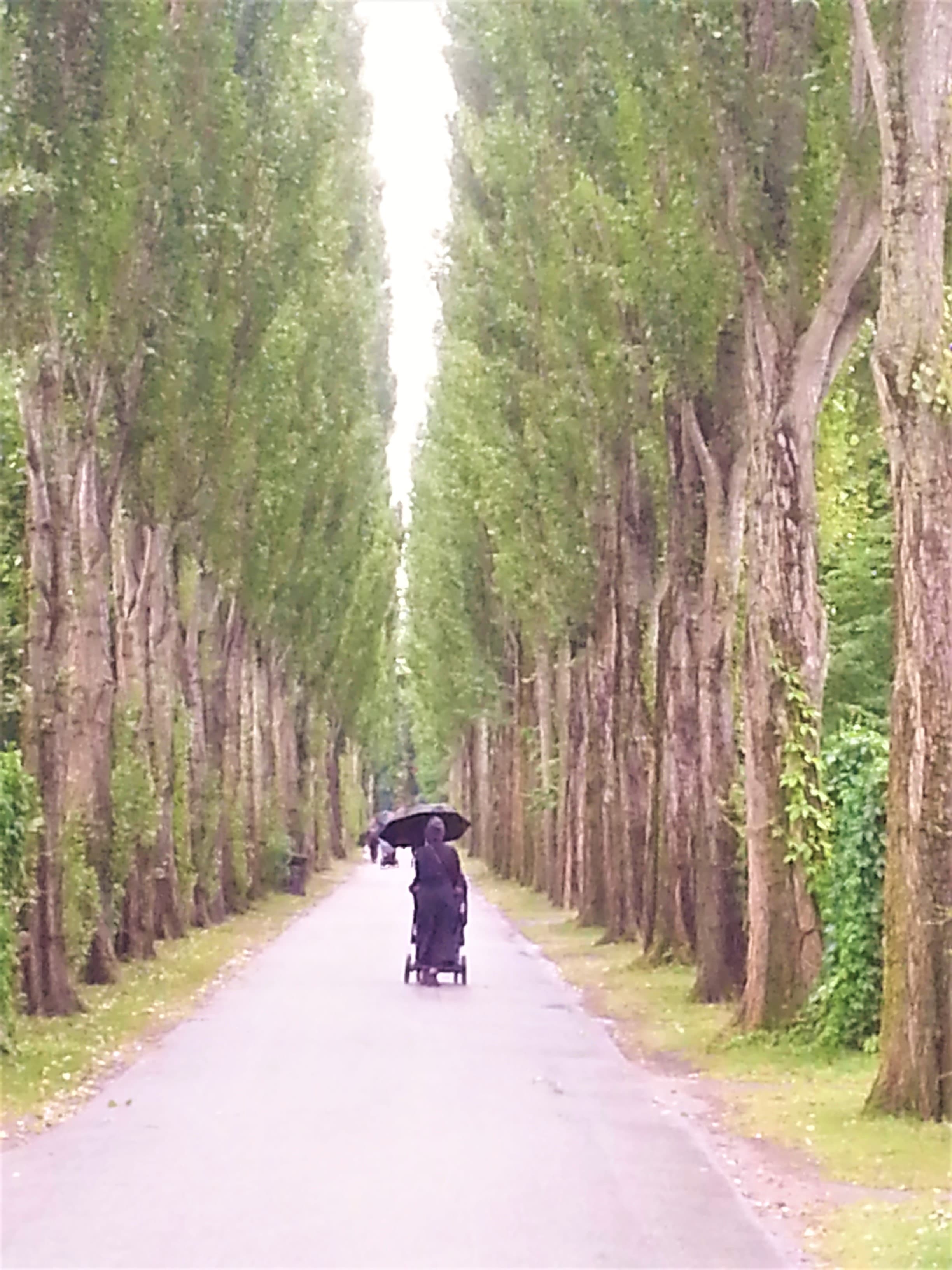 Assistens Kirkegård: Kierkegaard, Andersen, Bohr — and the park around them